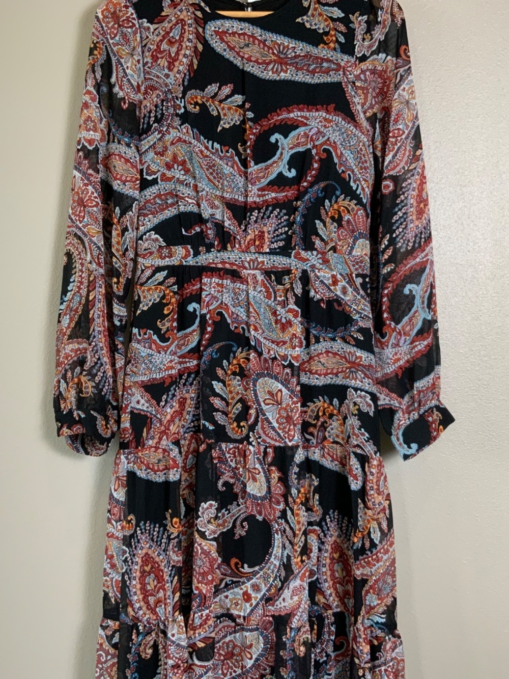 Anthropologie Paisley Long Sleeve Maxi Dress - Picture 9 of 16
